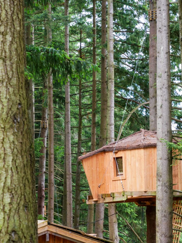 cabane perchée lac des sapins