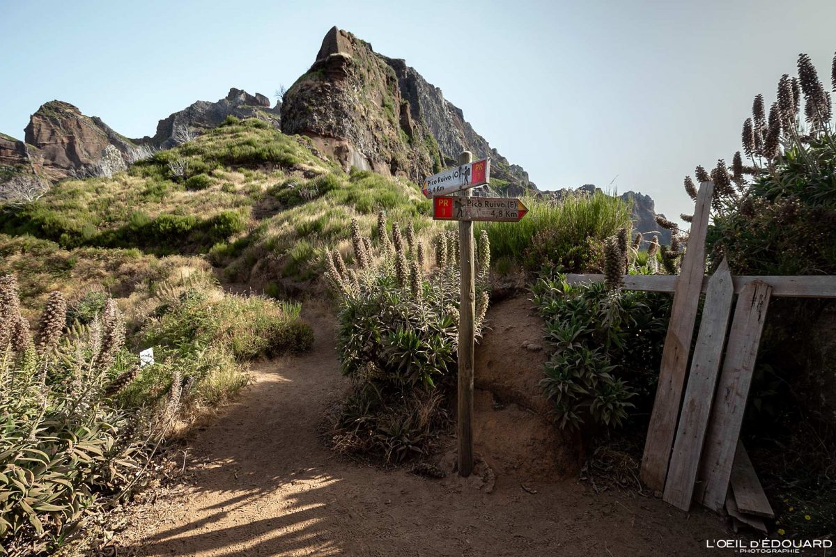 Itinéraire Randonnée Pico Ruivo Madère Tourisme Paysage Montagne Voyage Portugal - PR 1 Vereda do Areeiro Pico Ruivo Madeira Ilha - Visit Madeira Island Hiking Trail Nature Mountain Outdoor Mountains Landscape