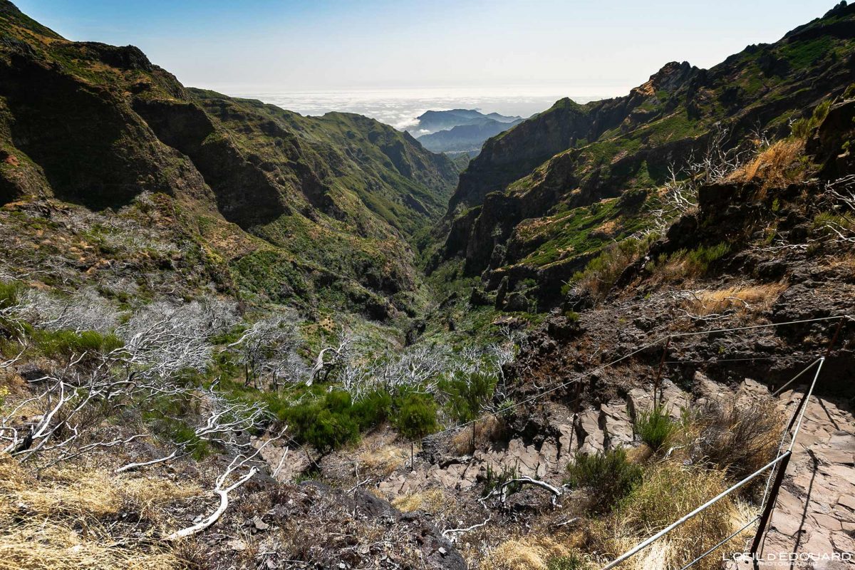 Vue Sentier Col Randonnée Pico Ruivo Madère Tourisme Paysage Montagne Voyage Portugal - Passo Vereda do Areeiro Pico Ruivo Madeira Ilha - Visit Madeira Island Hiking Trail Nature Mountain Outdoor Mountains Landscape