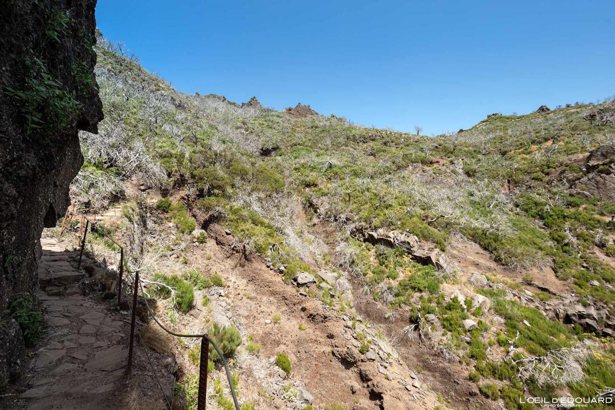 Sentier Randonnée Pico Ruivo Madère Tourisme Paysage Montagne Voyage Portugal - PR 1 Vereda do Areeiro Pico Ruivo Madeira Ilha - Visit Madeira Island Hiking Trail Nature Mountain Outdoor Mountains Landscape