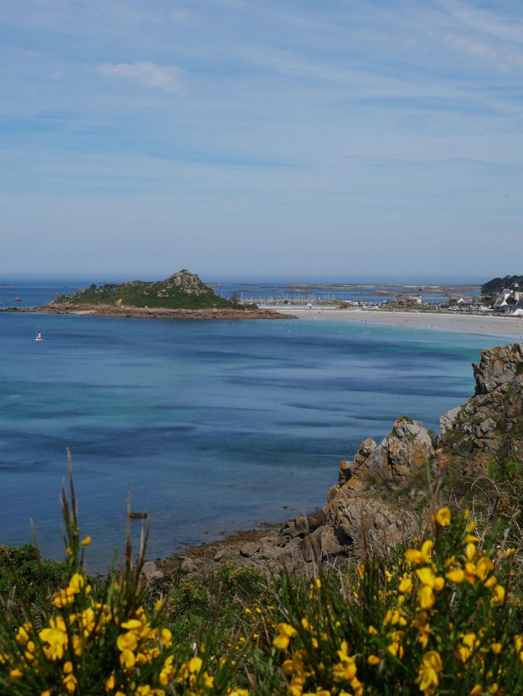 Parcourir la Bretagne à vélo : Point de vue sur l'ile Milliau depuis la Pointe de Bihit