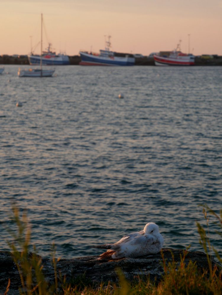 Faire la Bretagne en vélo : coucher soleil Roscoff