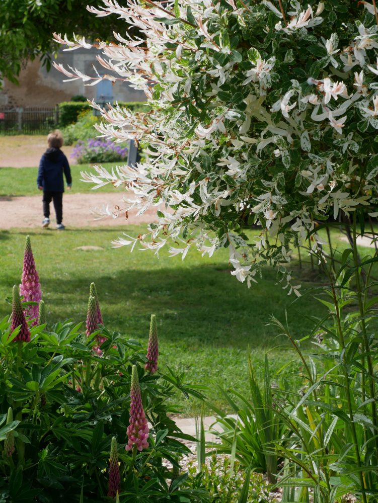 Que faire autour de Chartres avec un enfant, parc du domaine Thiron Gardais