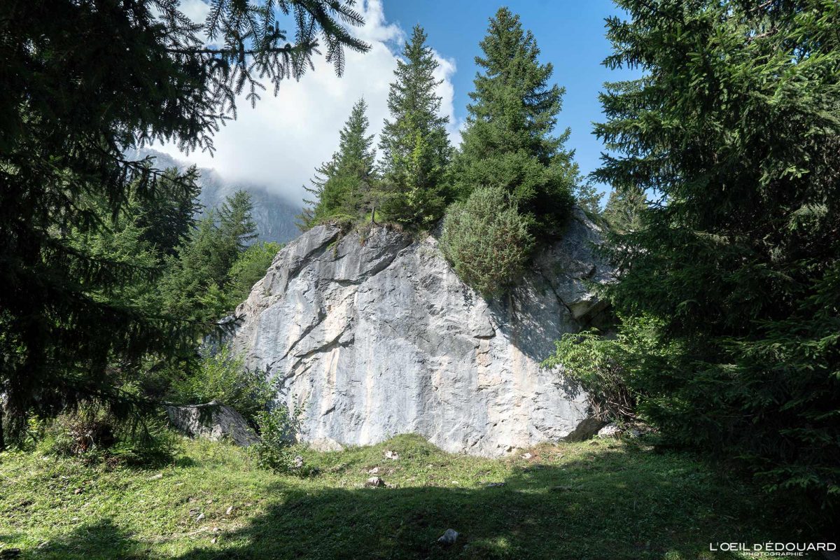 Randonnée Lac de Pormenaz Massif des Aiguilles Rouges Haute-Savoie Alpes France Paysage Forêt Montagne Nature Outdoor Hike French Alps Mountain Forest Landscape Hiking Trail