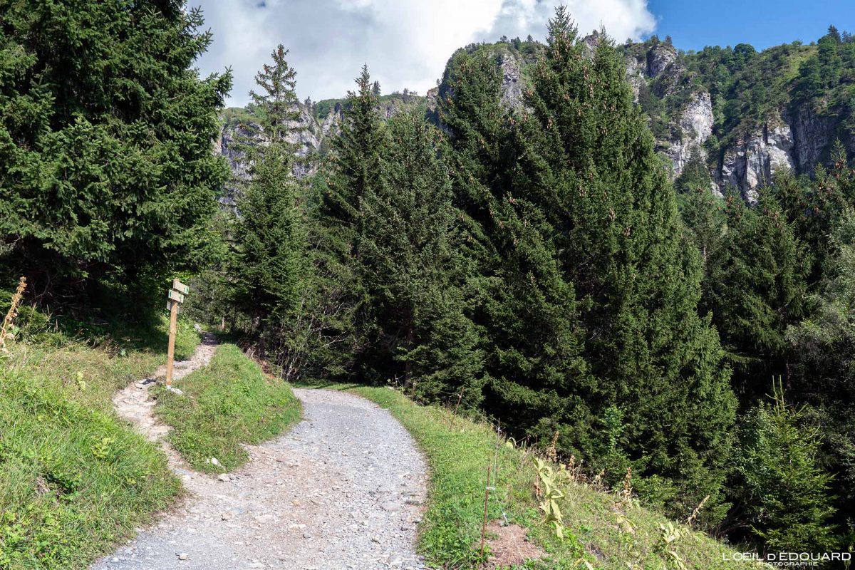 Sentier Randonnée Lac de Pormenaz Massif des Aiguilles Rouges Haute-Savoie Alpes France Paysage Montagne Nature Outdoor Hike French Alps Mountain Landscape Hiking Trail