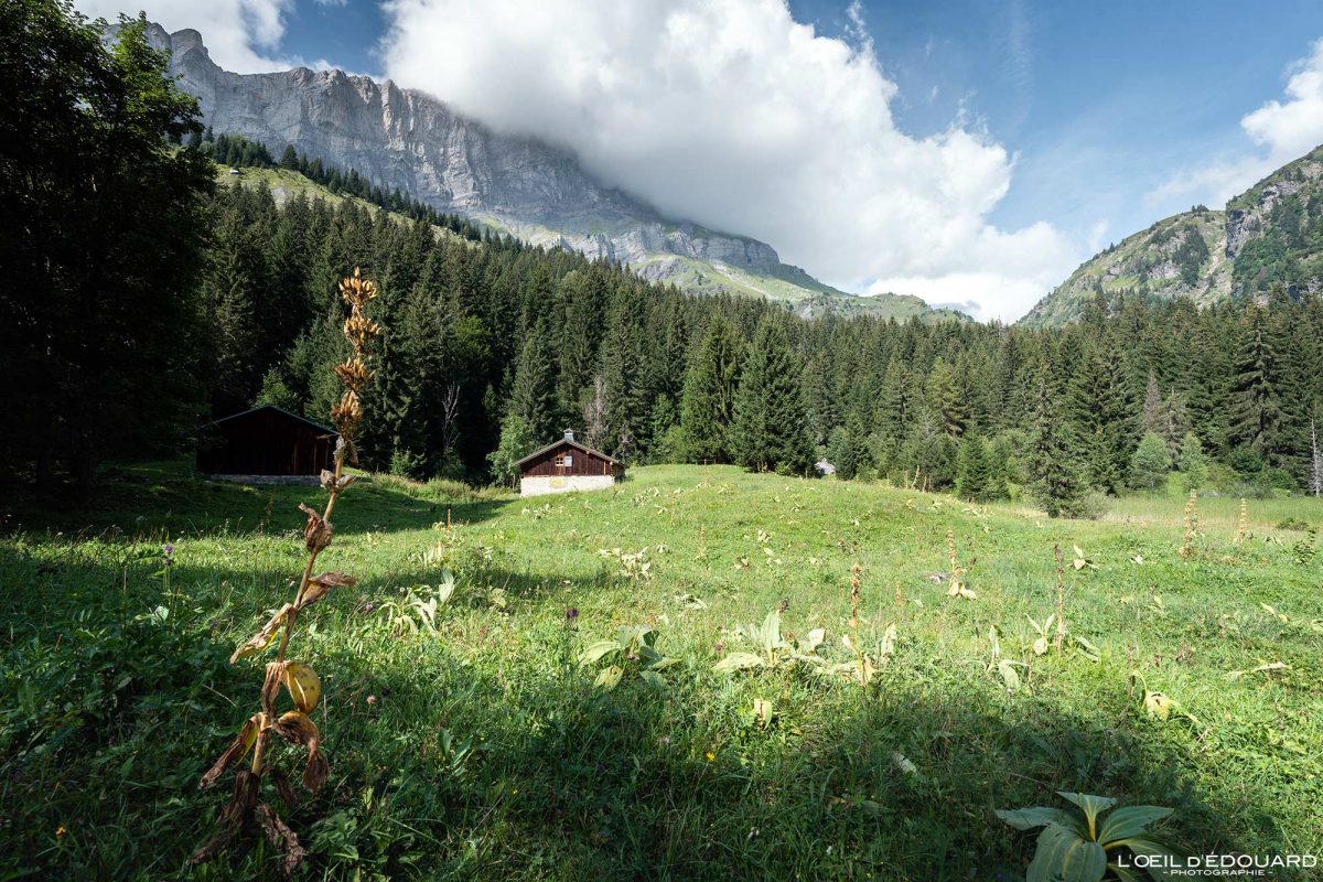 Chalets Le Gouet Haute-Savoie Alpes France Paysage Montagne Nature Outdoor French Alps Mountain Landscape Houses