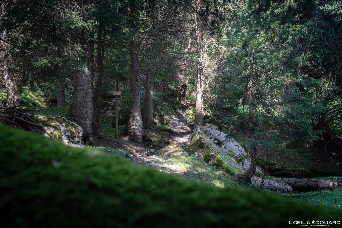 La Barme Trappier Randonnée Lac de Pormenaz Massif des Aiguilles Rouges Haute-Savoie Alpes France Paysage Forêt Montagne Nature Outdoor Hike French Alps Mountain Forest Landscape Hiking Trail