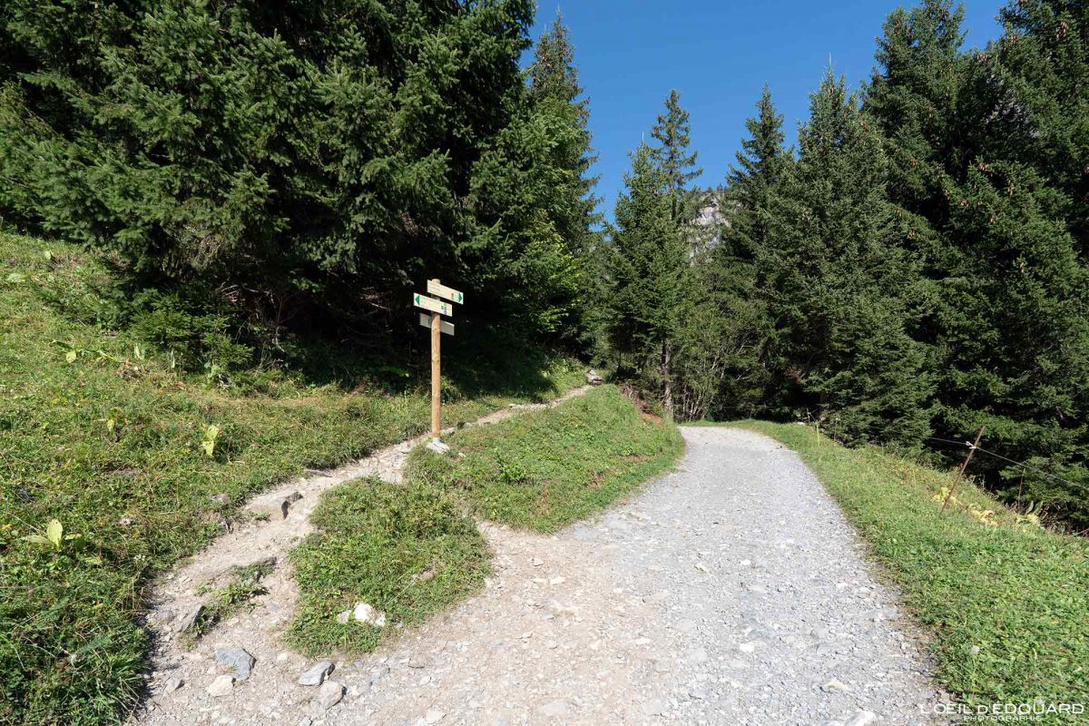 Sentier Randonnée Lac de Pormenaz Massif des Aiguilles Rouges Haute-Savoie Alpes France Paysage Montagne Nature Outdoor Hike French Alps Mountain Landscape Hiking Trail