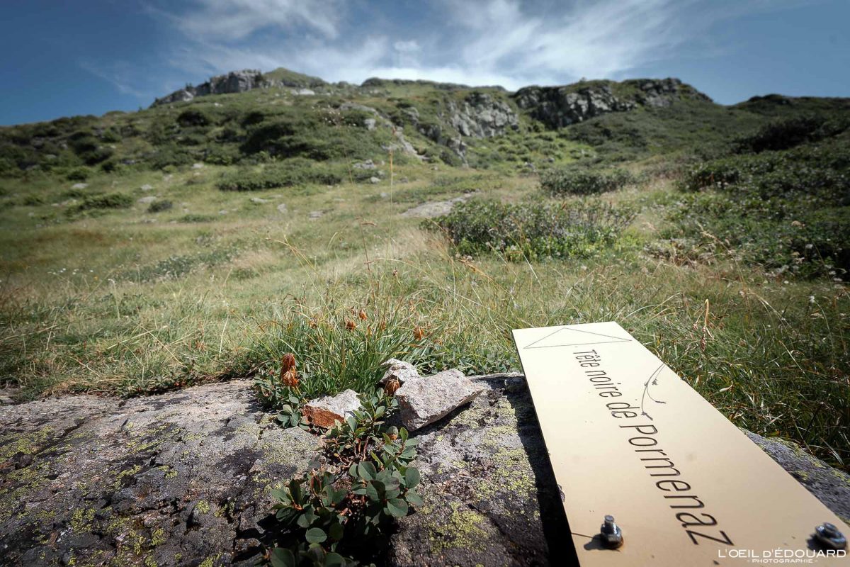 Sentier Randonnée Pointe Noire de Pormenaz Massif des Aiguilles Rouges Haute-Savoie Alpes France Paysage Montagne Nature Outdoor Hike French Alps Mountain Landscape Hiking Trail