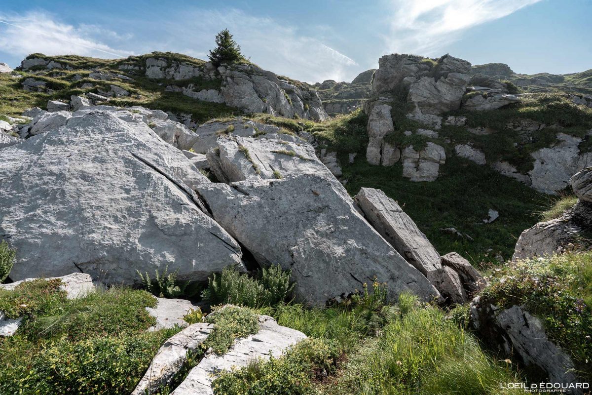 Sentier Randonnée Pointe Noire de Pormenaz Massif des Aiguilles Rouges Haute-Savoie Alpes France Paysage Montagne Nature Outdoor Hike French Alps Mountain Landscape Hiking Trail