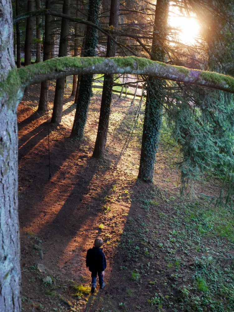 coucher de soleil depuis la cabane perchée du Beaujolais vert