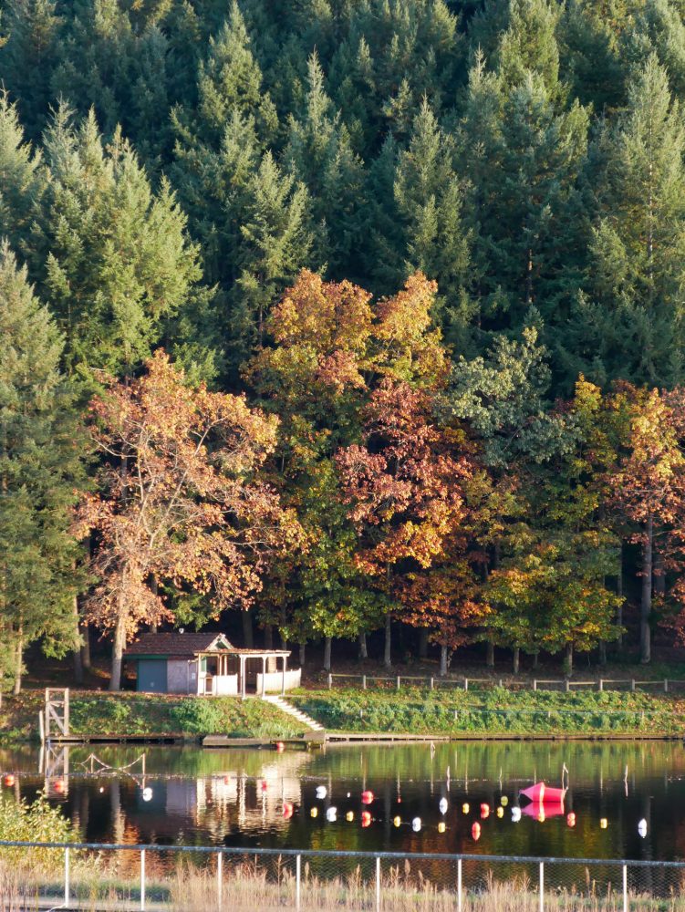 lac des sapins à l'automne