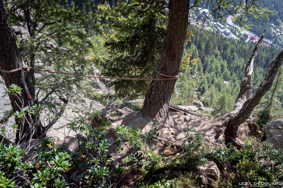 Passage Délicat Échelles Sentier Randonnée Lacs des Chéserys depuis Tré-le-Champ - Massif des Aiguilles Rouges Haute-Savoie Alpes France Paysage Montagne Nature Outdoor Hike French Alps Mountain Landscape Hiking Trail