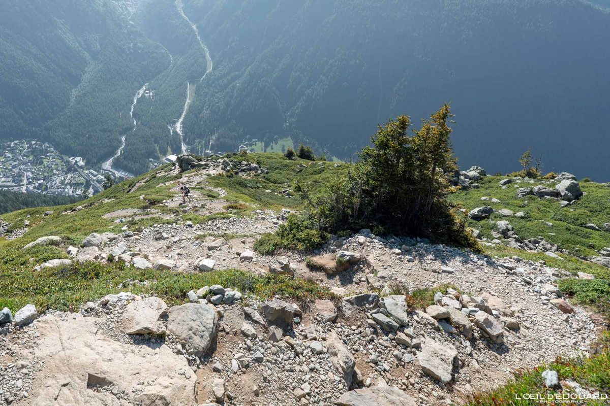 Sentier Randonnée Lacs des Chéserys depuis Tré-le-Champ - Massif des Aiguilles Rouges Haute-Savoie Alpes France Paysage Montagne Nature Outdoor Hike French Alps Mountain Landscape Hiking Trail