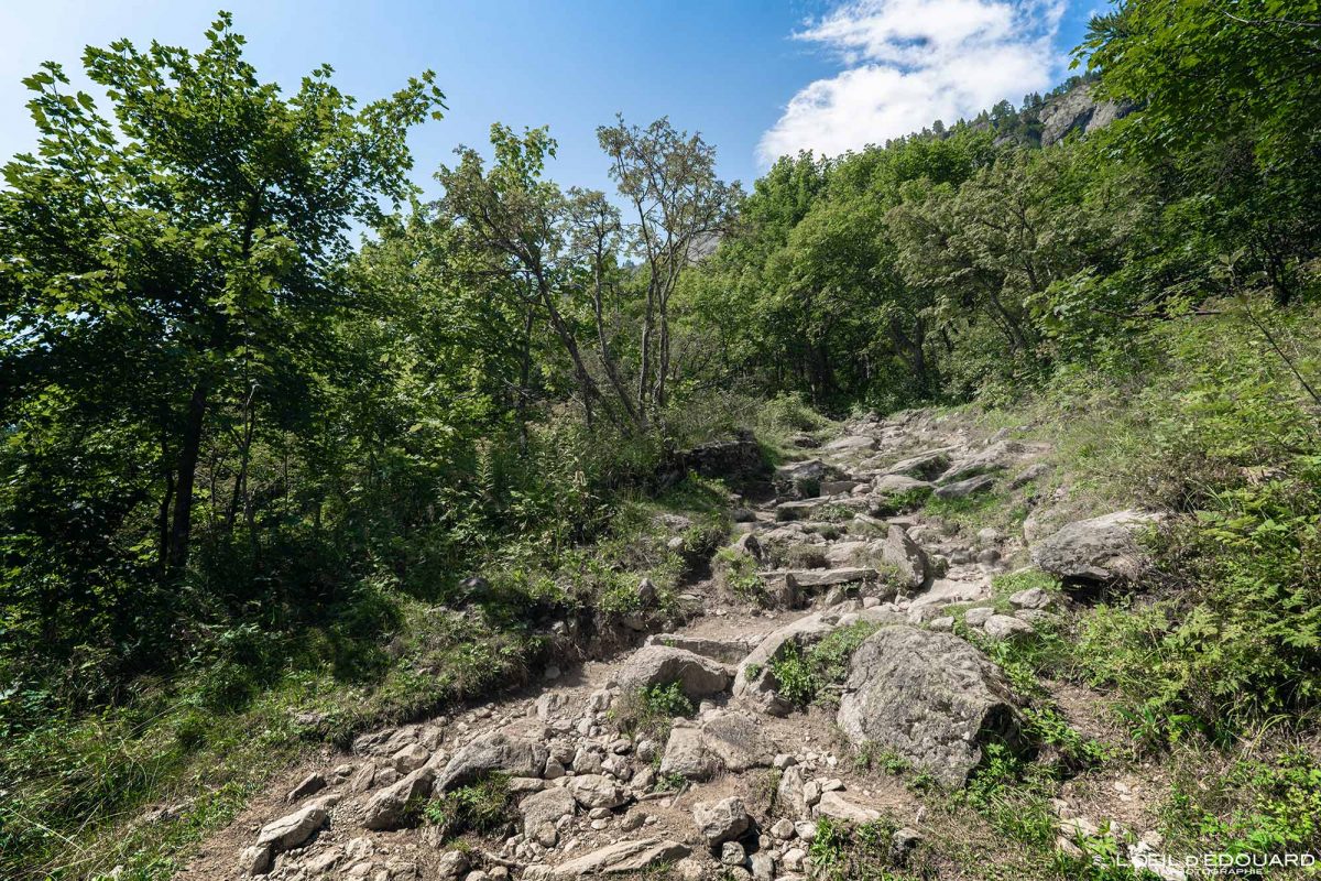 Sentier Randonnée Lacs des Chéserys depuis Tré-le-Champ - Massif des Aiguilles Rouges Haute-Savoie Alpes France Paysage Montagne Nature Outdoor Hike French Alps Mountain Landscape Hiking Trail