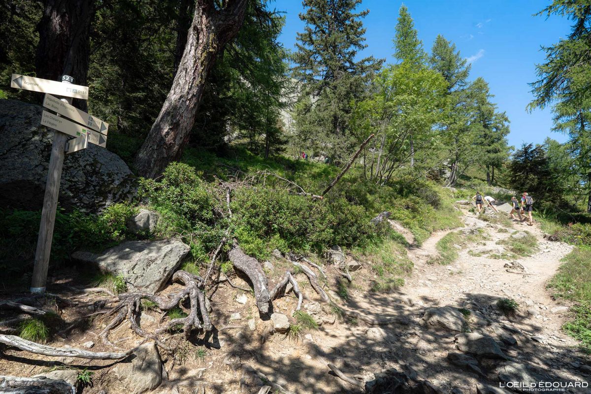Sentier Randonnée Lacs des Chéserys depuis Tré-le-Champ - Massif des Aiguilles Rouges Haute-Savoie Alpes France Paysage Montagne Nature Outdoor Hike French Alps Mountain Landscape Hiking Trail