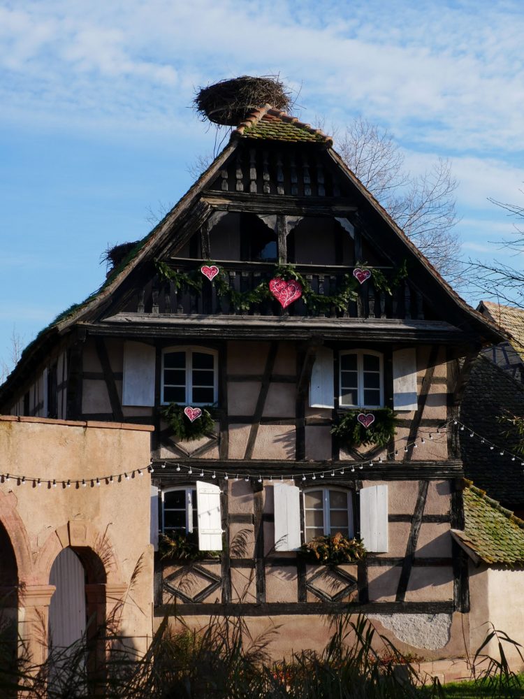 Ecomusee Alsace à Noel