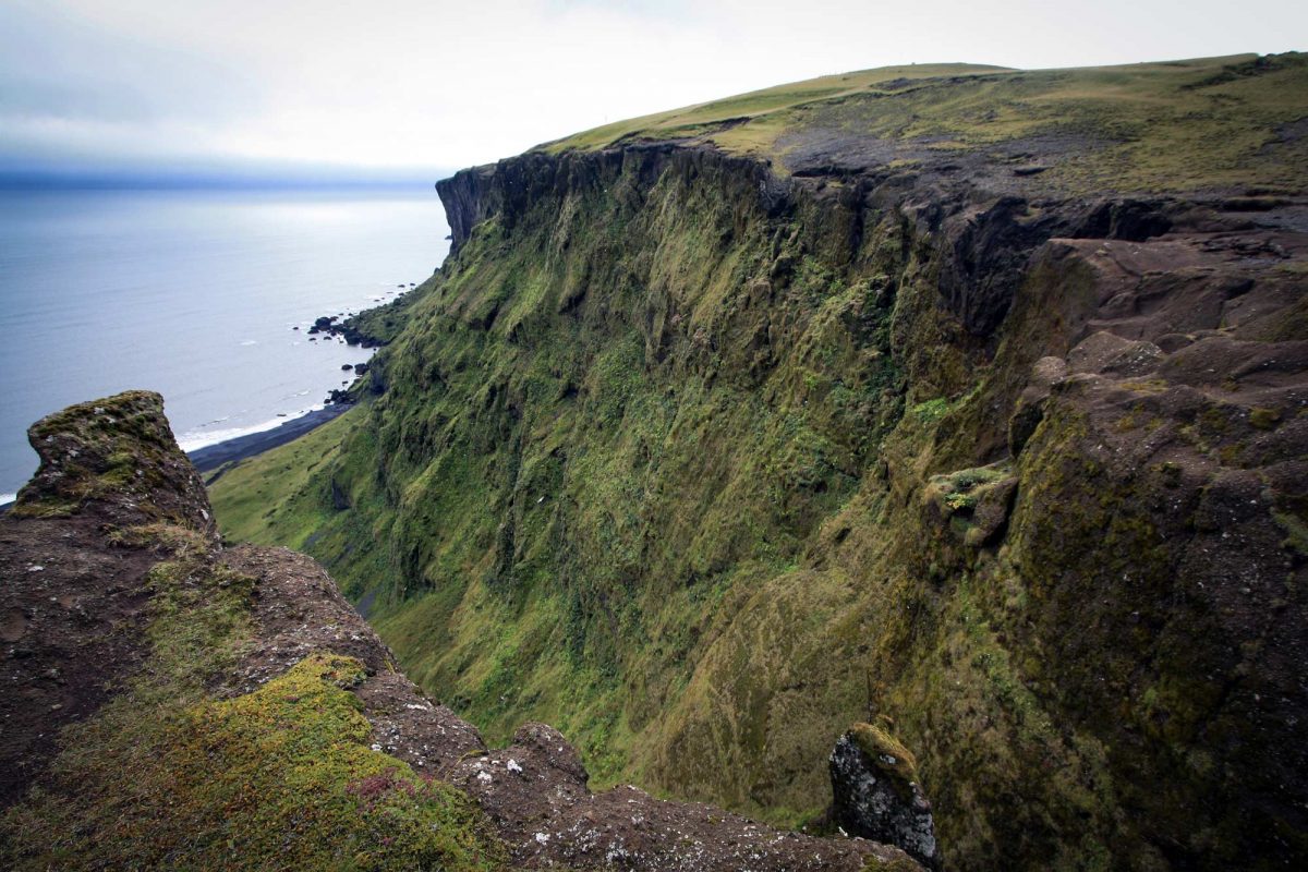 Reynisfall VÍK í Mýrdal Islande Paysage Falaise Montagne Nature Outdoor Iceland Mountain Landscape Icelandic Ísland